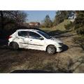TitleAltList.resource.tip Voiture Peugeot 206